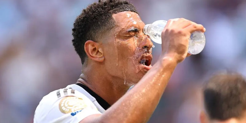 Giải pháp ứng phó được ban tổ chức đặt ra